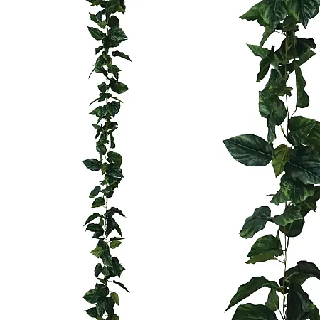 images/uploads/18567/thumb_3508-1 2023.webp